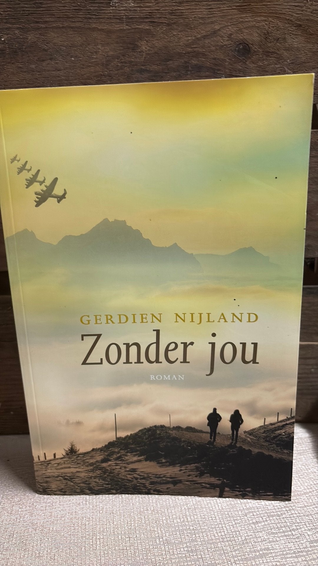 Gerdien Nijland - Zonder jou, Ophalen of Verzenden, Zo goed als nieuw, Gerdien Nijland