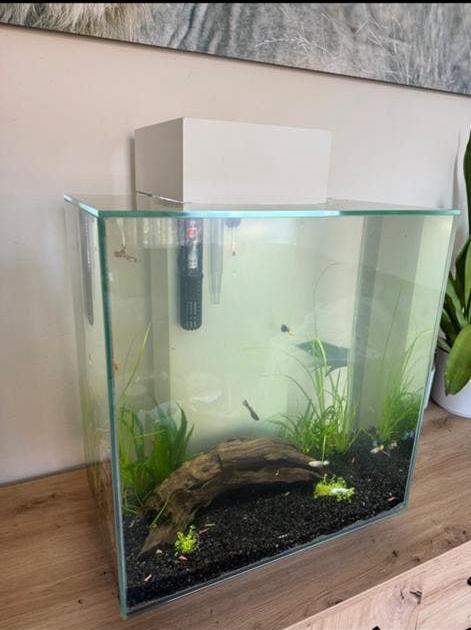 Fluval Edge 46 Liter wit, Dieren en Toebehoren, Vissen | Aquaria en Toebehoren, Gebruikt, Leeg aquarium, Inclusief deksel, Pomp