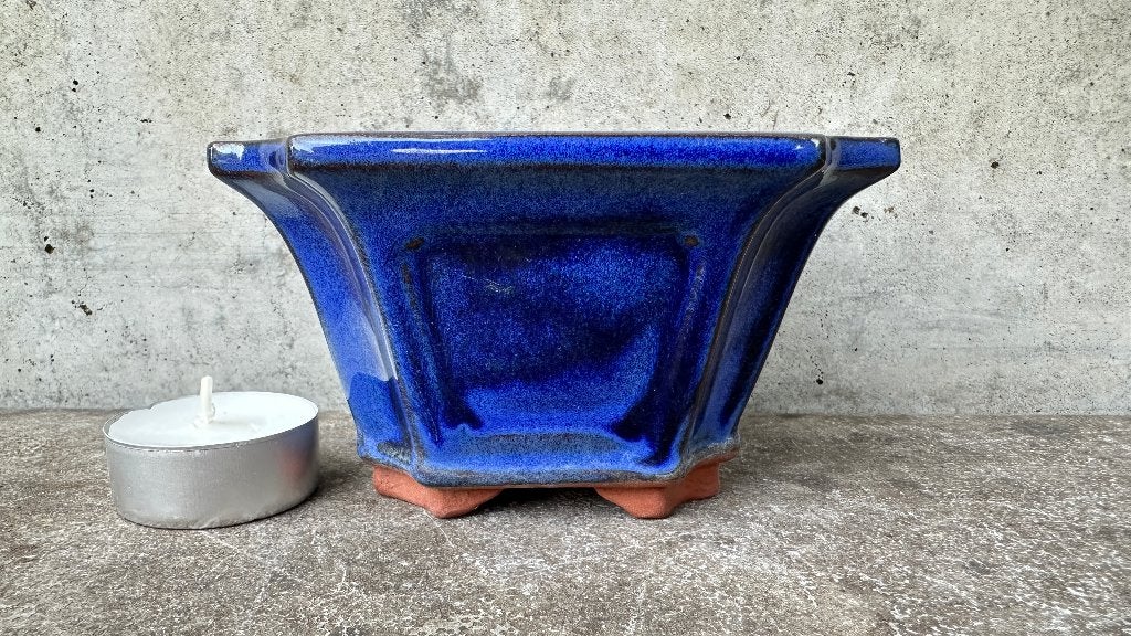 YiXing | China | bonsai schaal pot 11x11x6,5cm *****, Rond, Ophalen of Verzenden, Zo goed als nieuw, Aardewerk