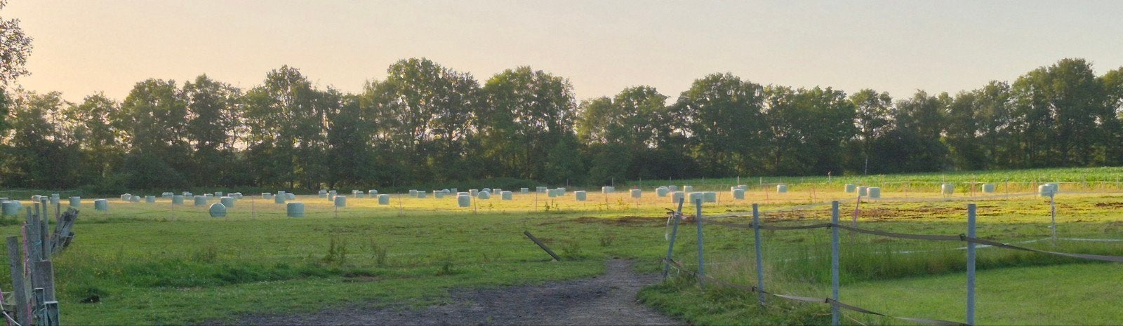 Midi balen hooi, Ophalen