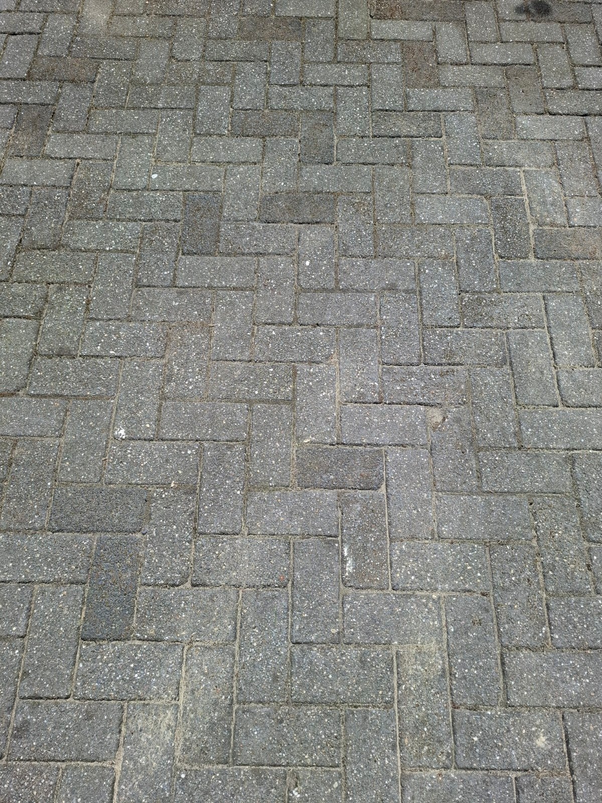 Klinkers 80m2, Ophalen