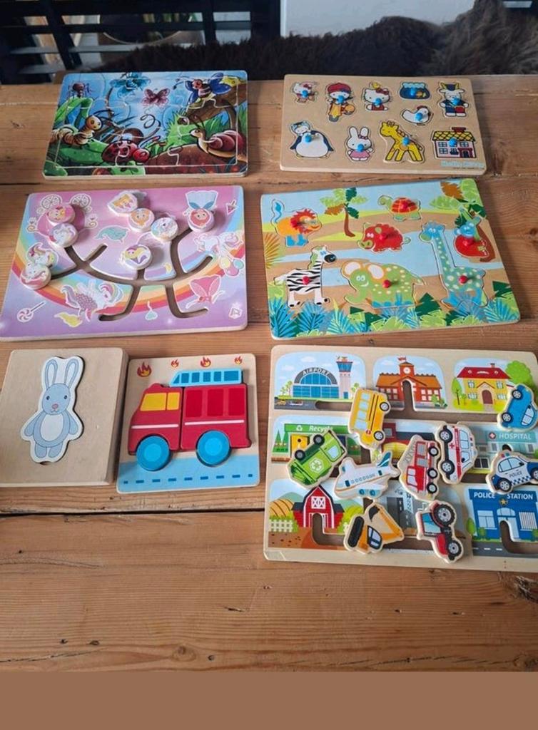 Diverse houten puzzels, Ophalen of Verzenden, Minder dan 10 stukjes, Gebruikt, 6 maanden tot 2 jaar