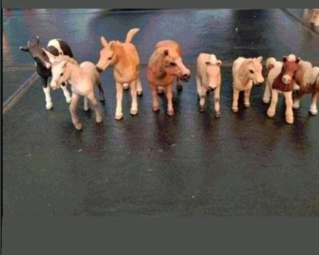 schleich paarden, Ophalen of Verzenden, Zo goed als nieuw, Jongen of Meisje