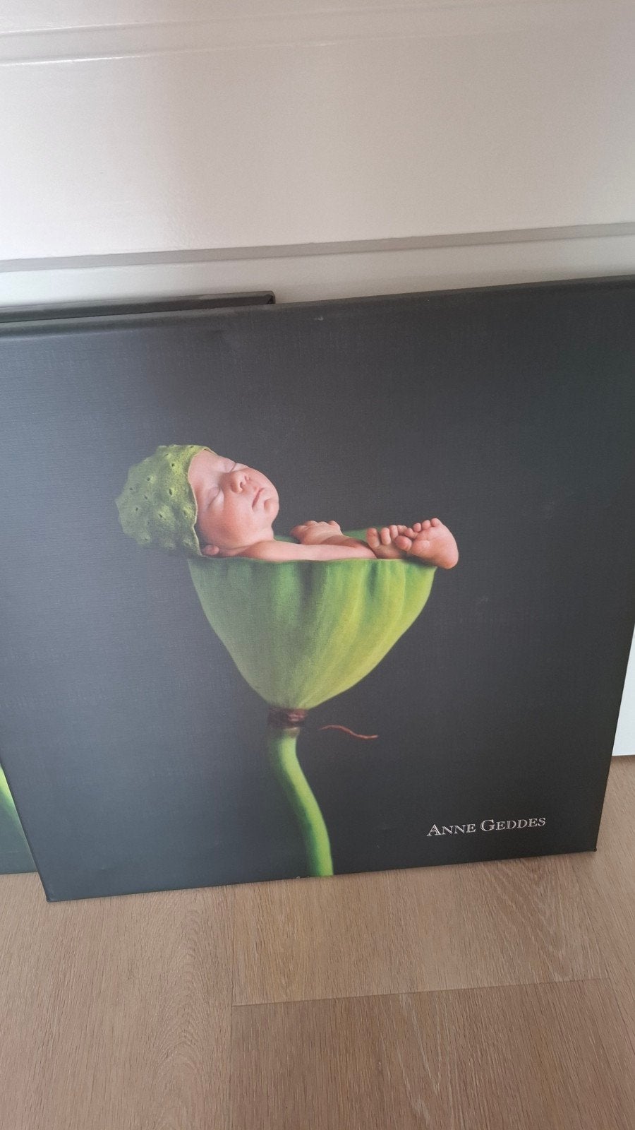 2 stuks Schilderijen canvas Anne Geddes! 50 cm/ 50cm, Antiek en Kunst, Kunst | Schilderijen | Modern, Ophalen of Verzenden