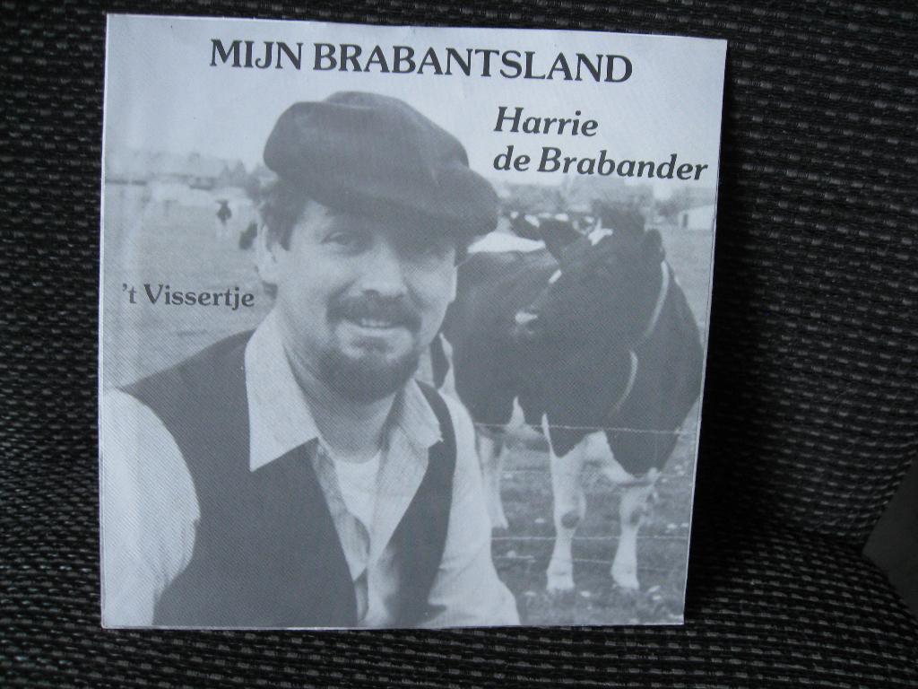 Harrie De Brabander ‎– Mijn Brabantsland - 't vissertje 1983, Ophalen of Verzenden, Gebruikt, Pop