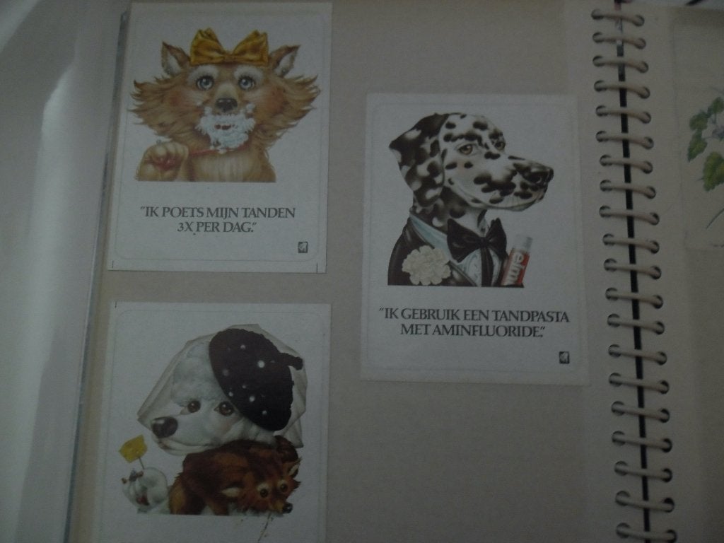 Vintage Sticker Collectie: Dieren, Disney & Meer, Verzamelen, Ophalen of Verzenden, Nieuw, Dier en Natuur