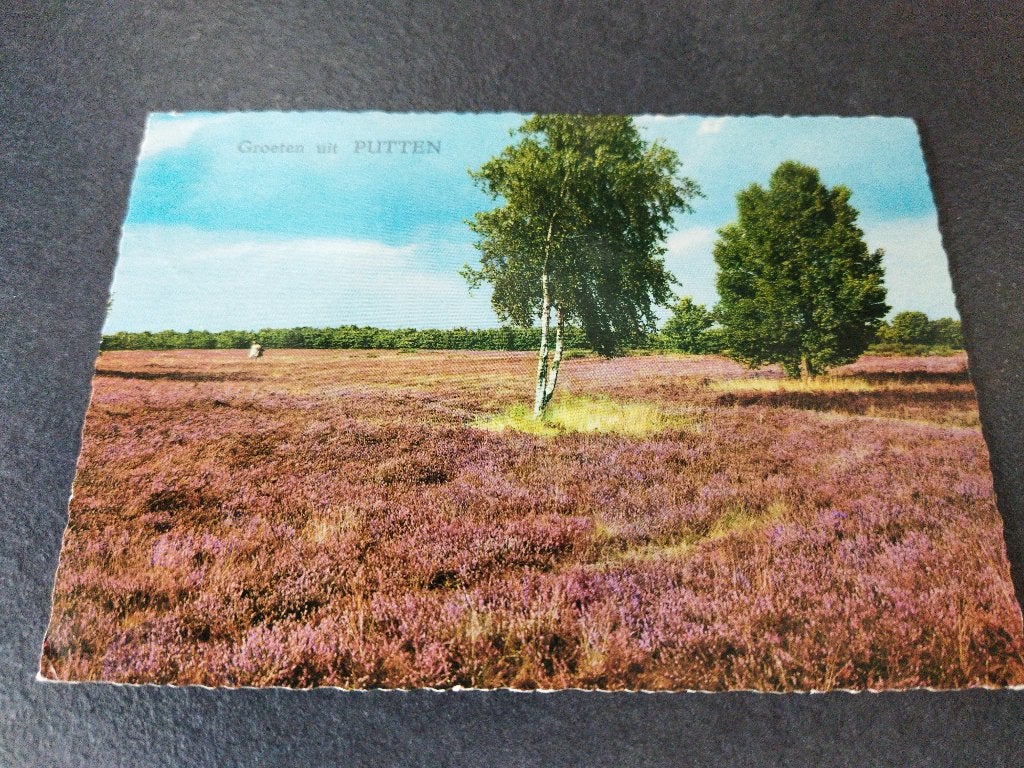 Ansichtkaart Groeten uit Putten, Ophalen of Verzenden, 1960 tot 1980, Gelopen, Gelderland