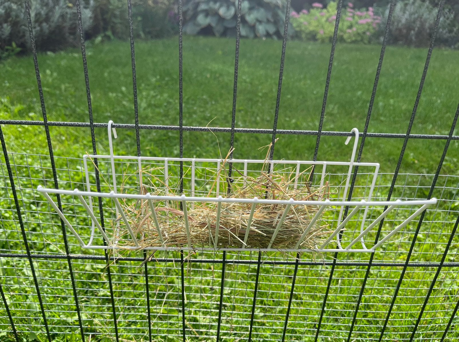 Hooiruifje, Dieren en Toebehoren, Ophalen of Verzenden, Zo goed als nieuw