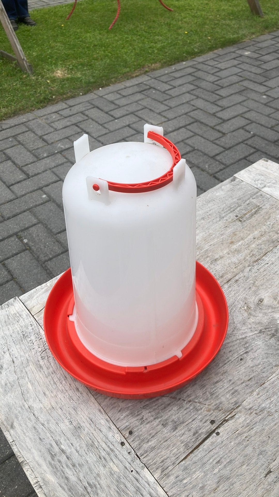 Waterbak, Dieren en Toebehoren, Pluimvee | Toebehoren, Ophalen of Verzenden, Zo goed als nieuw, Drinken en Voederen