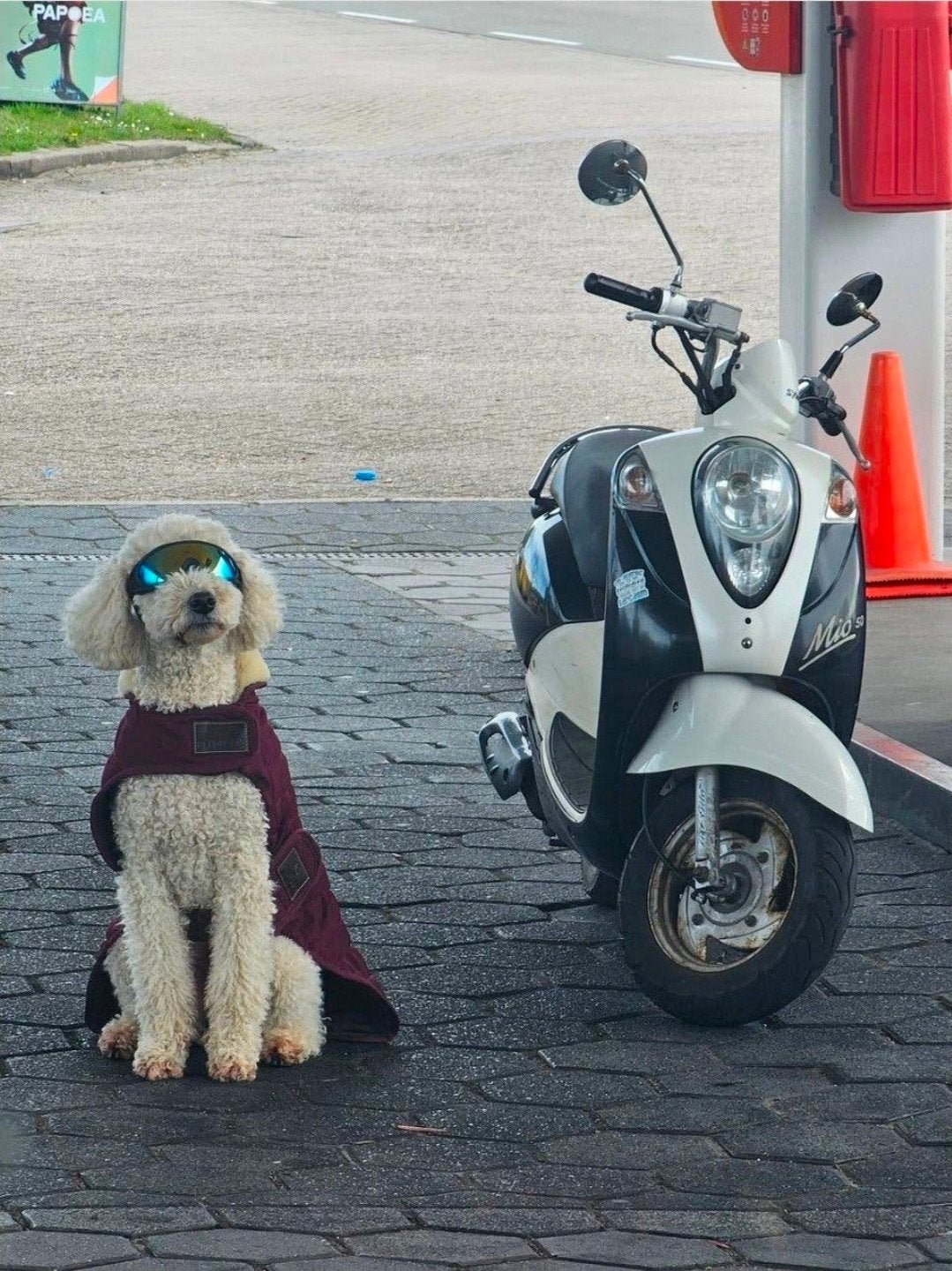 sym mio scooter te koop, Ophalen of Verzenden, Benzine, Mio