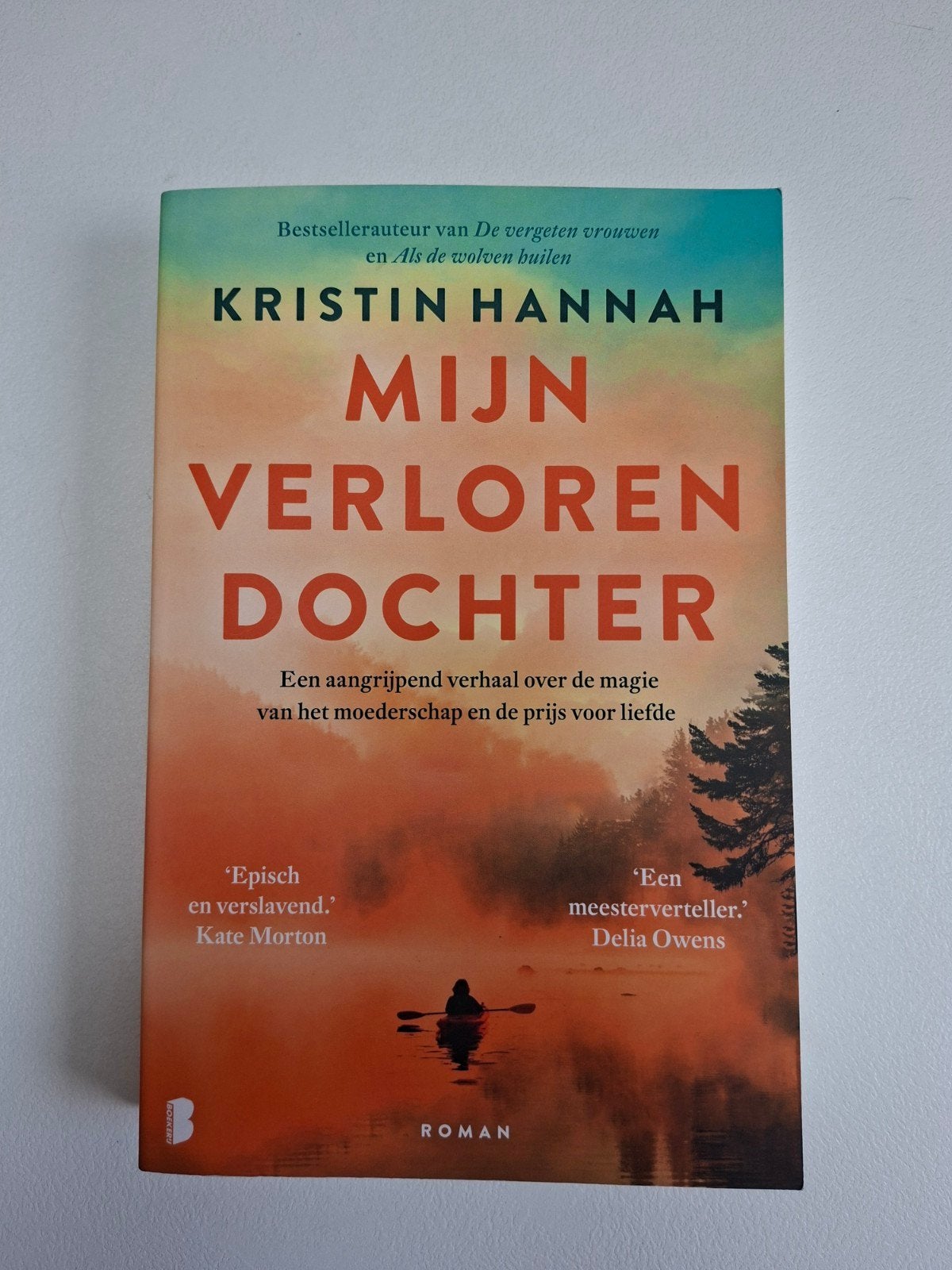 Mijn verloren dochter, Kristin Hannah, Boeken, Romans, Ophalen, Gelezen