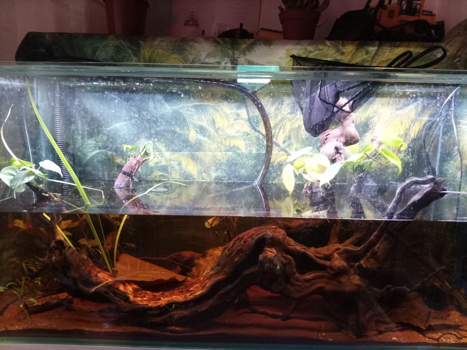 leeg 120x45x60cm aquarium, extra helder glas met verlichting, Dieren en Toebehoren, Vissen | Aquaria en Toebehoren, Ophalen, Leeg aquarium