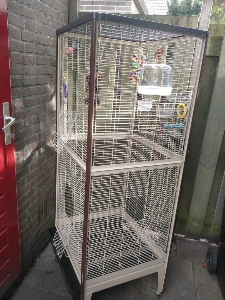 Vogelkooi, Dieren en Toebehoren, Ophalen