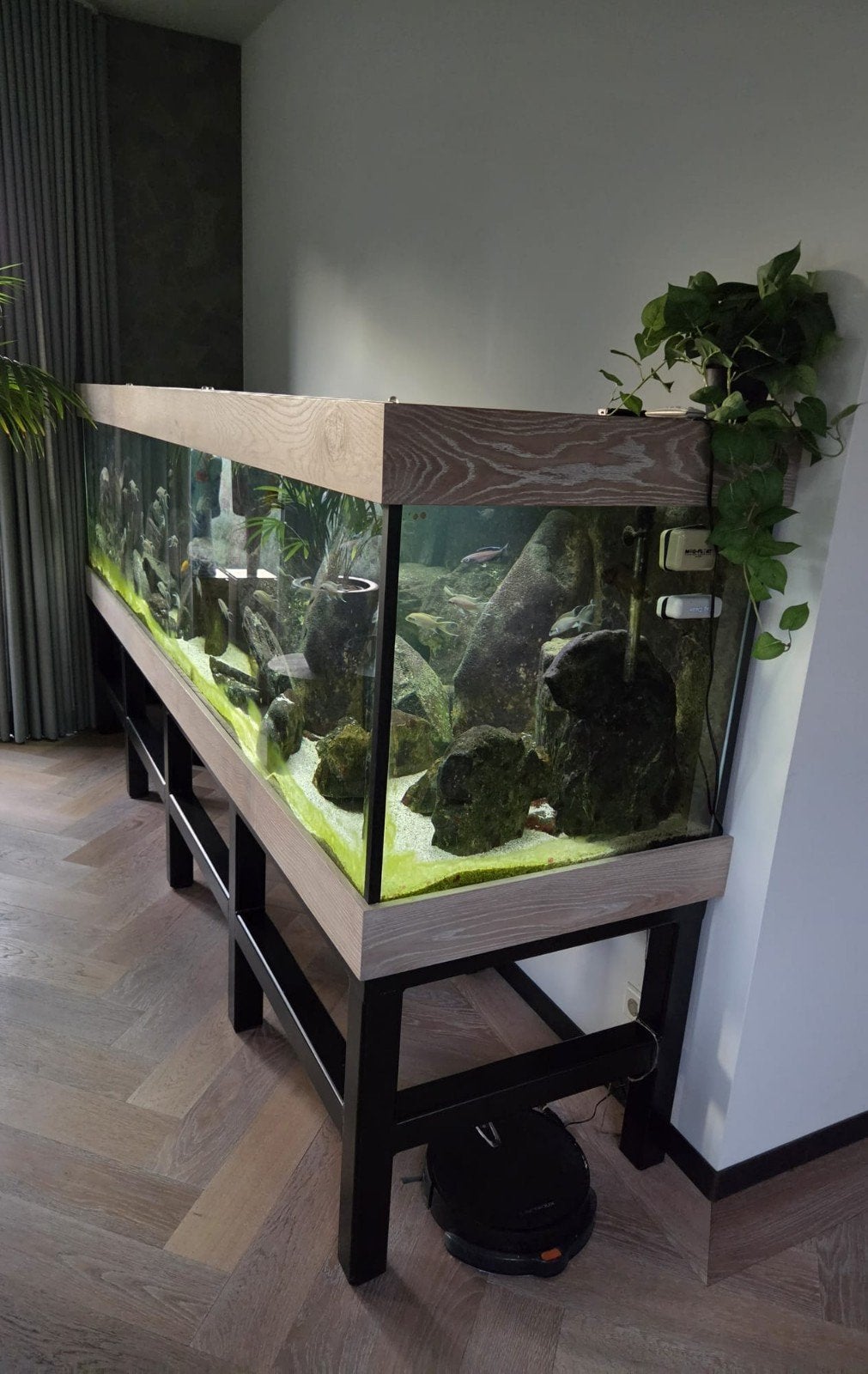 Groot aquarium., Ophalen, Leeg aquarium