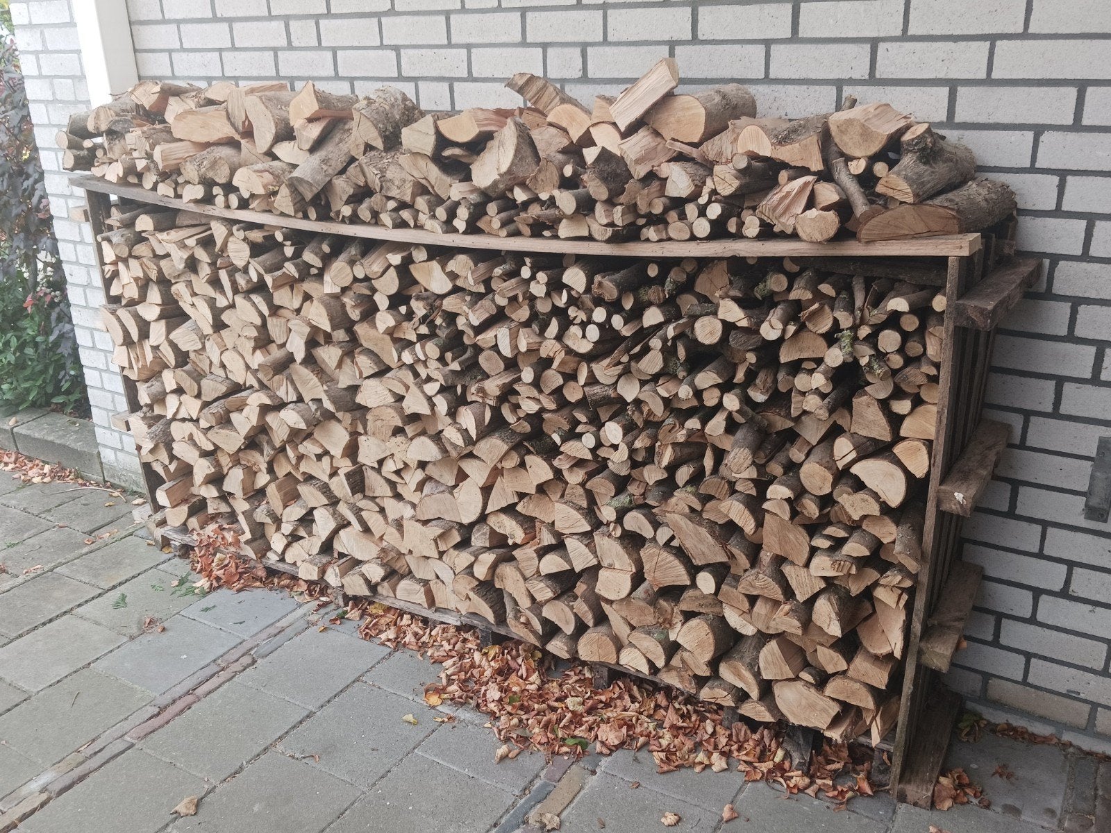 Gekloofd brandhout, esdoorn, Minder dan 3 m³, Ophalen, Overige houtsoorten, Blokken