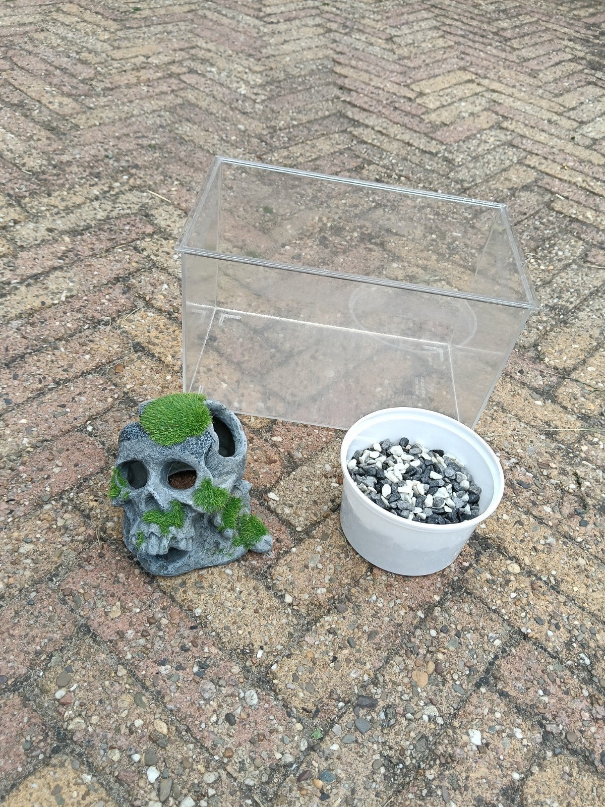 vissen bakje met steentjes en deco schedel., Ophalen, Gebruikt, Leeg aquarium