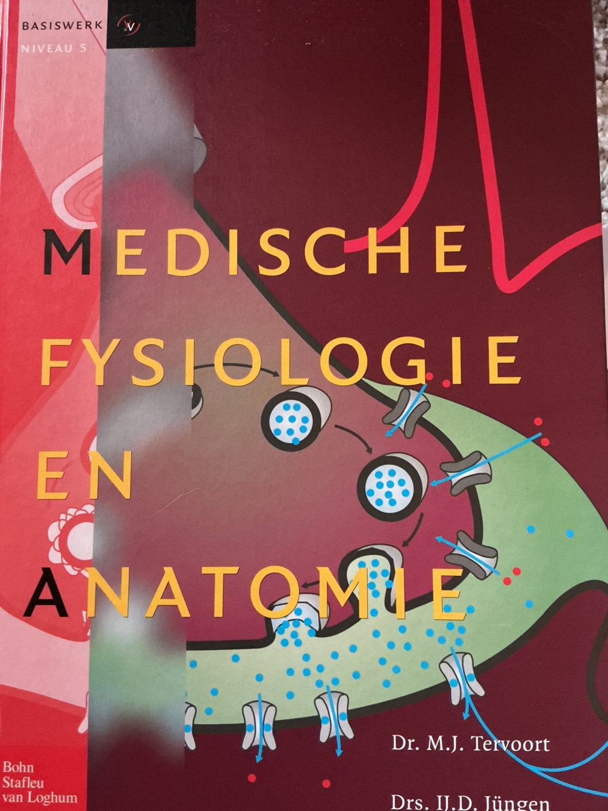 IJ.D. Jüngen - Medische fysiologie en anatomie, Boeken, Ophalen of Verzenden, Zo goed als nieuw, IJ.D. Jüngen; M.J. Tervoort