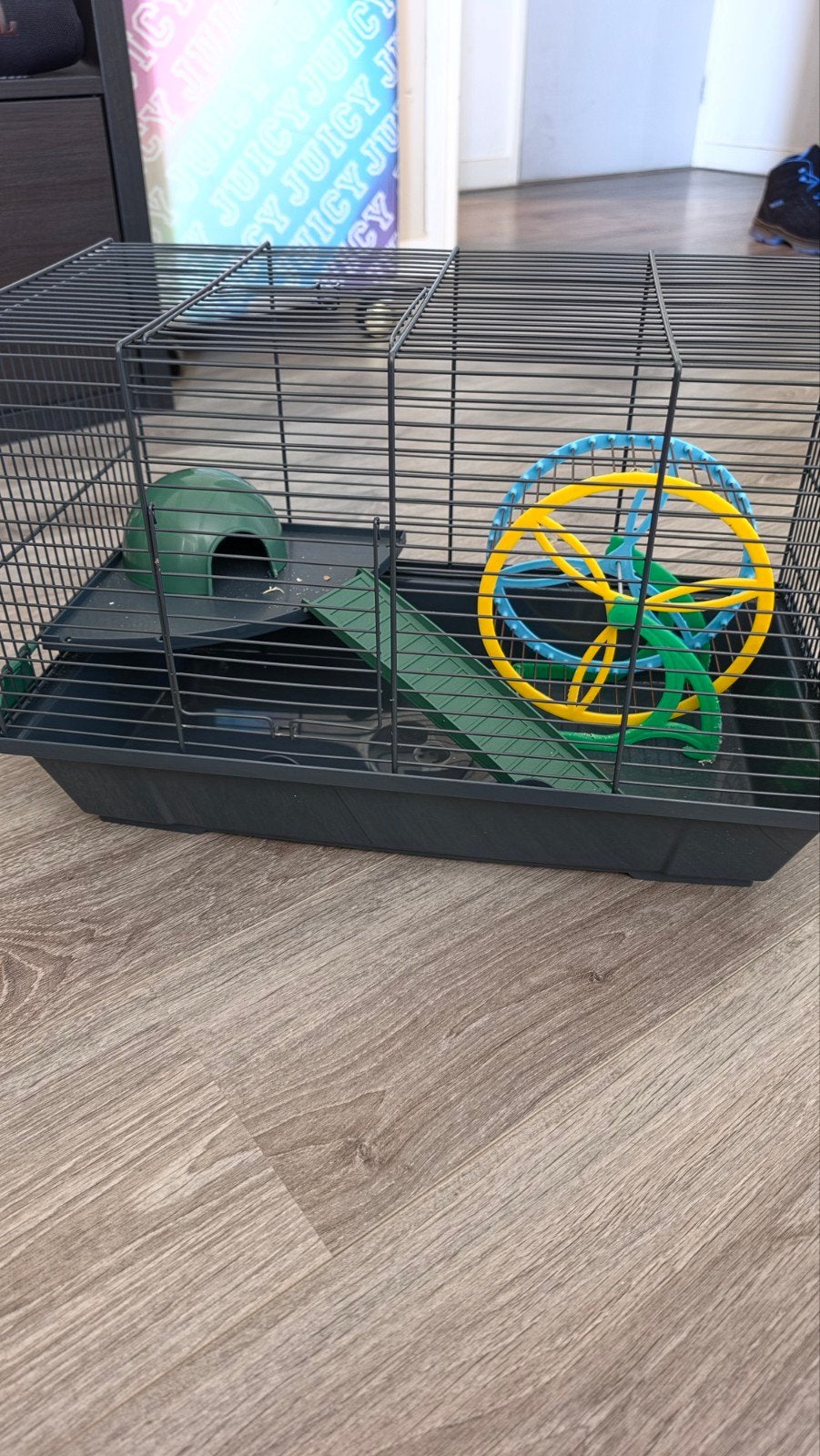 Hamster kooi, Dieren en Toebehoren, Minder dan 60 cm, Kooi, Minder dan 75 cm, Ophalen of Verzenden