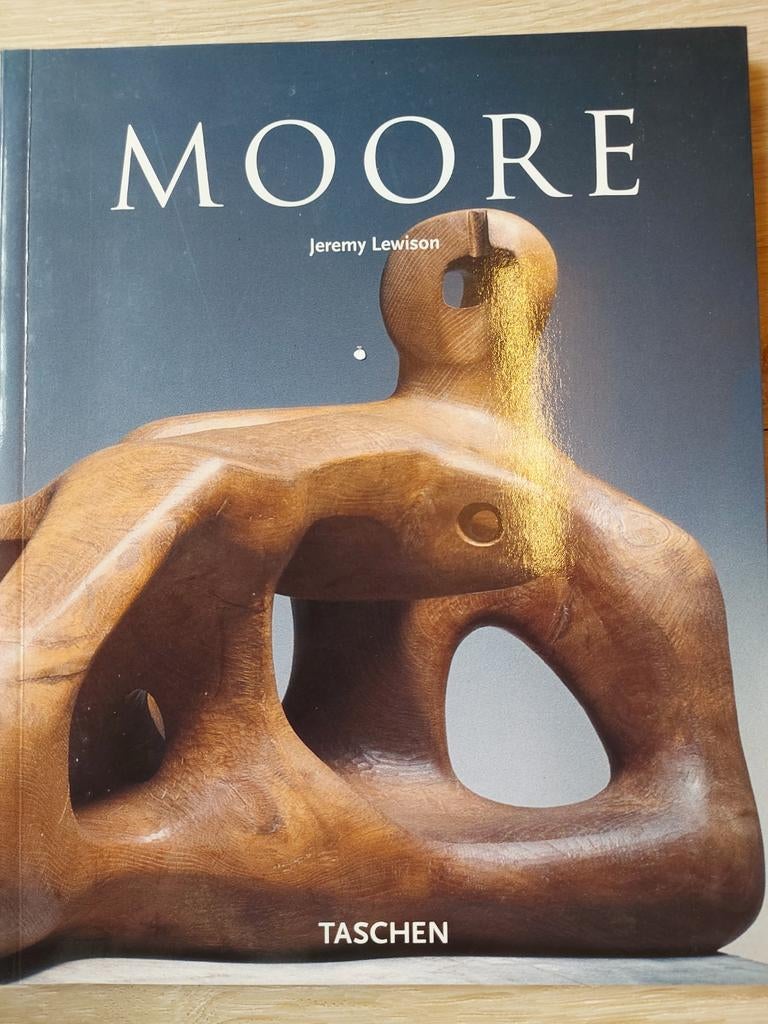 Moore - Jeremy Lewison (Taschen), Boeken, Ophalen of Verzenden, Gelezen, Beeldhouwkunst, Jeremy Lewison
