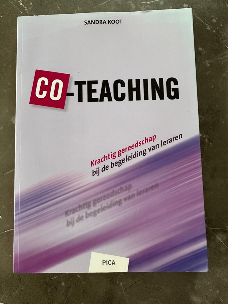 Sandra Koot - Co-teaching, Sociale wetenschap, Ophalen of Verzenden, Zo goed als nieuw, Sandra Koot