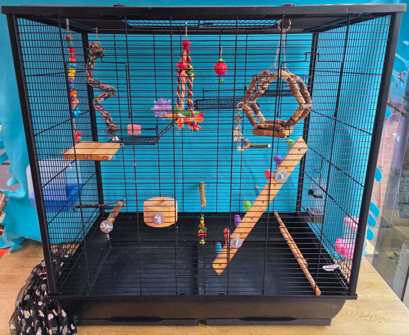Grote Vogelkooi Met Veel Speelgoed en Zit Stokken 80x50x80, Ophalen, Gebruikt, Metaal, Vogelkooi