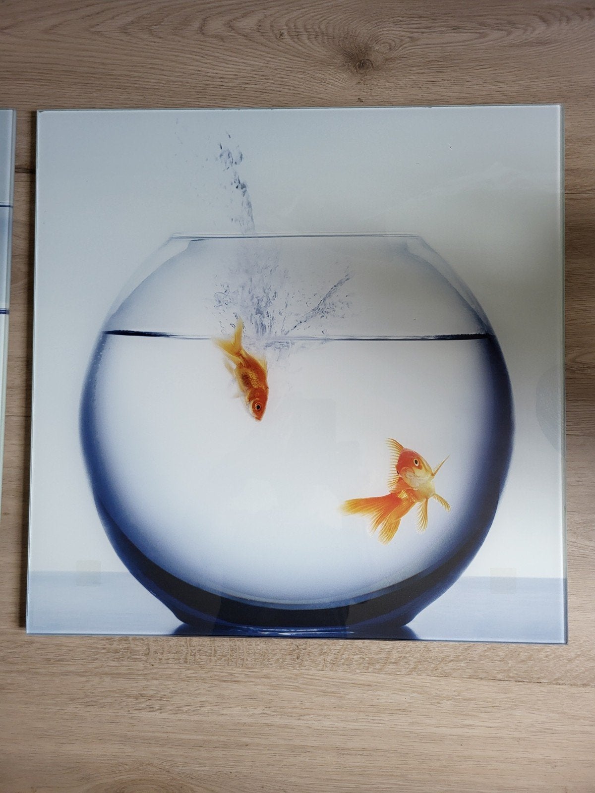 Set van 2 Glazen Wanddecoraties met Goudvissen, Huis en Inrichting, Minder dan 50 cm, Ophalen of Verzenden, Zo goed als nieuw
