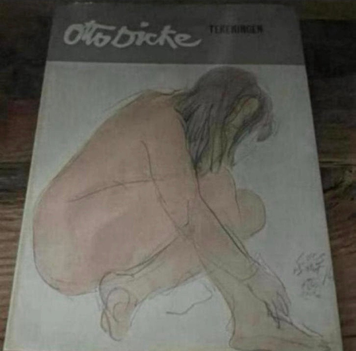 Otto Dicke Boek Gesigneerd, Ophalen of Verzenden, Zo goed als nieuw