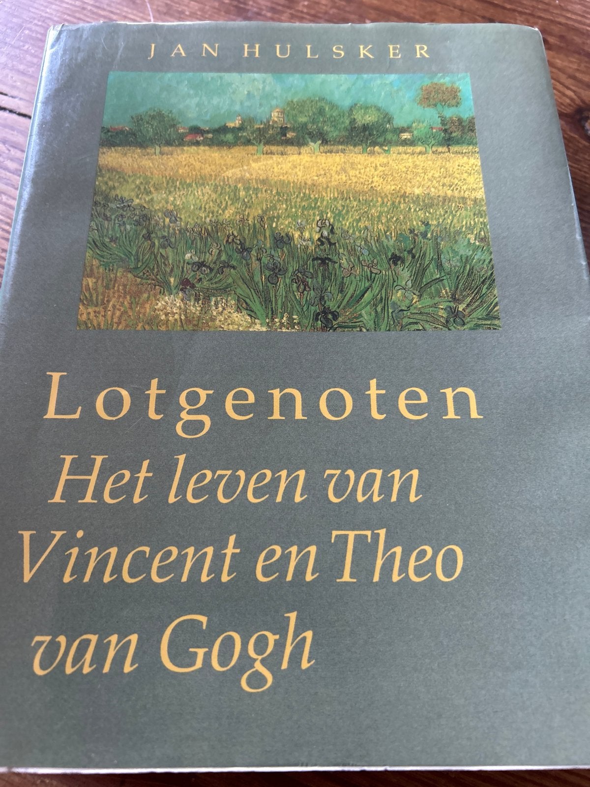 Lotgenoten: Het leven van Vincent en Theo van Gogh, Boeken, Ophalen of Verzenden, Zo goed als nieuw, Kunst en Cultuur