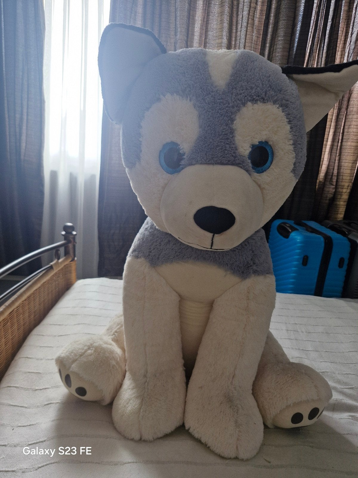 Grote Husky Knuffel Hond - Zacht en Knuffelbaar, Kinderen en Baby's, Speelgoed | Knuffels en Pluche, Zo goed als nieuw, Hond, Groot (groter dan 80 cm)
