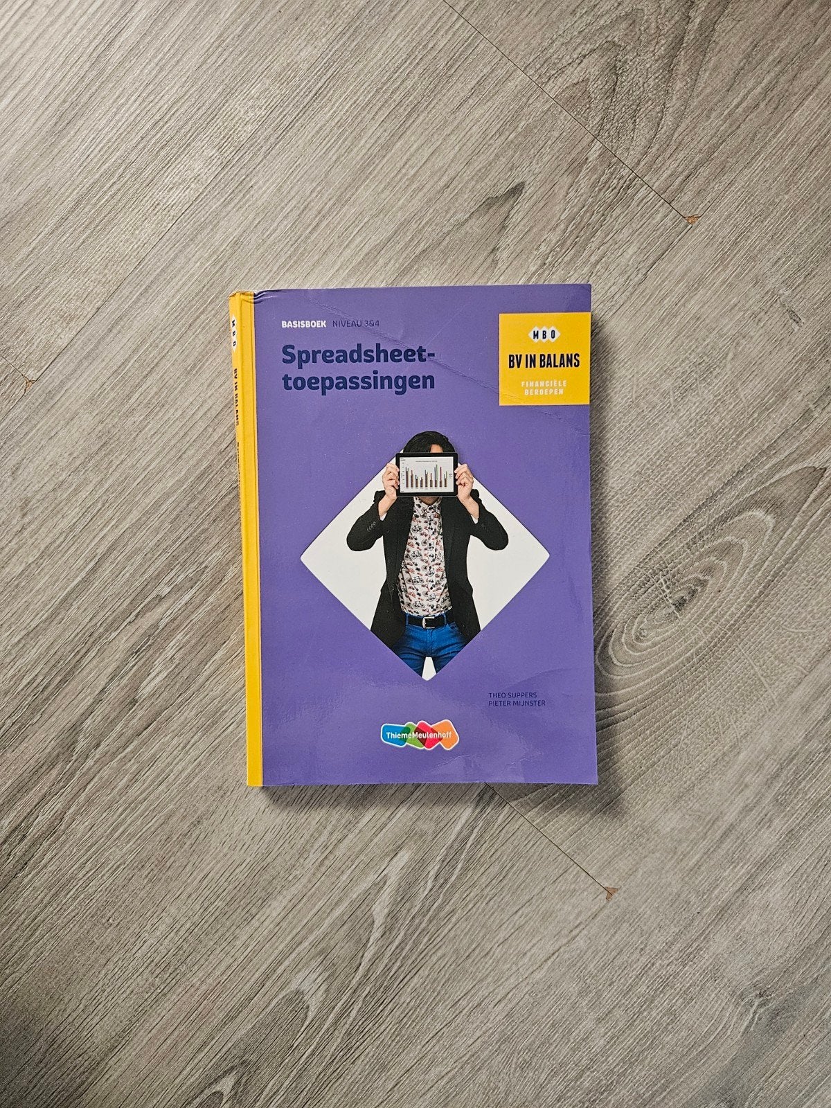 Spreadsheet-toepassingen BV in Balans HBO boek, Zo goed als nieuw, Gamma, HBO, Theo Cuppen, Peter Meijster