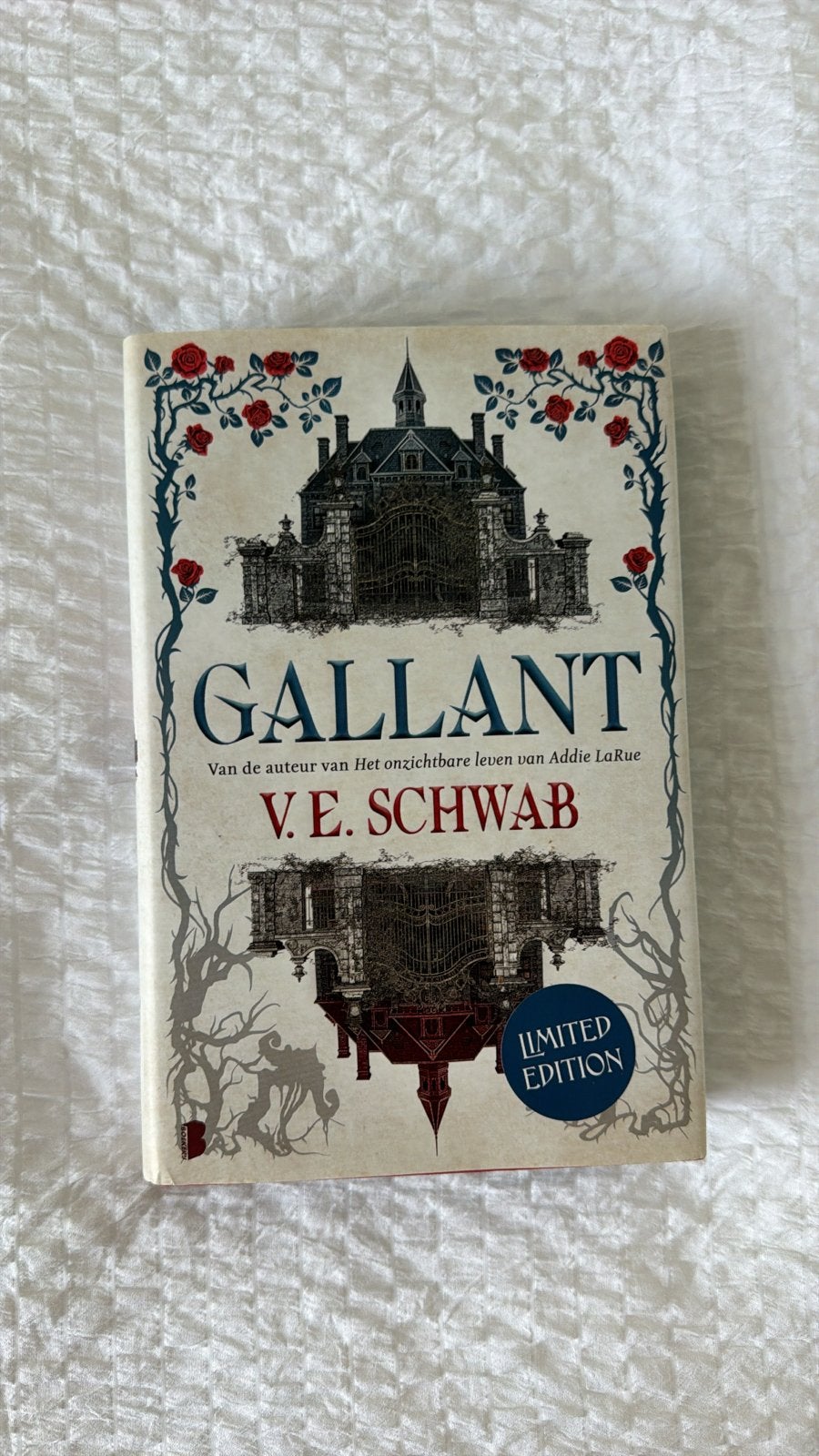 Gallant - V.E. Schwab (Limited Edition), Boeken, Fantasy, Ophalen of Verzenden, Zo goed als nieuw