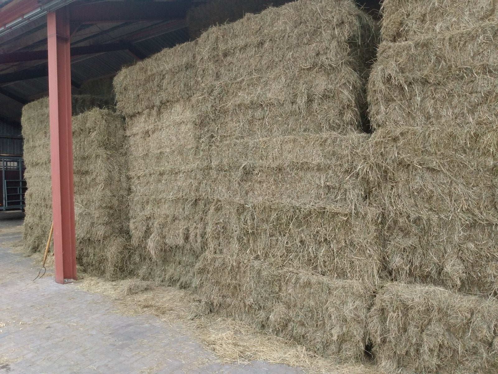 Paardenhooi, hooibalen 1e snede 2025,, Ophalen of Verzenden