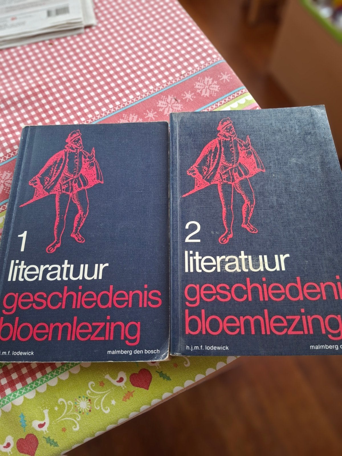 Literatuur Geschiedenis & Bloemlezing - H.J.M.F. Lodewick, Boeken, Ophalen of Verzenden, Gelezen, H.J.M.F. Lodewick, Nederland
