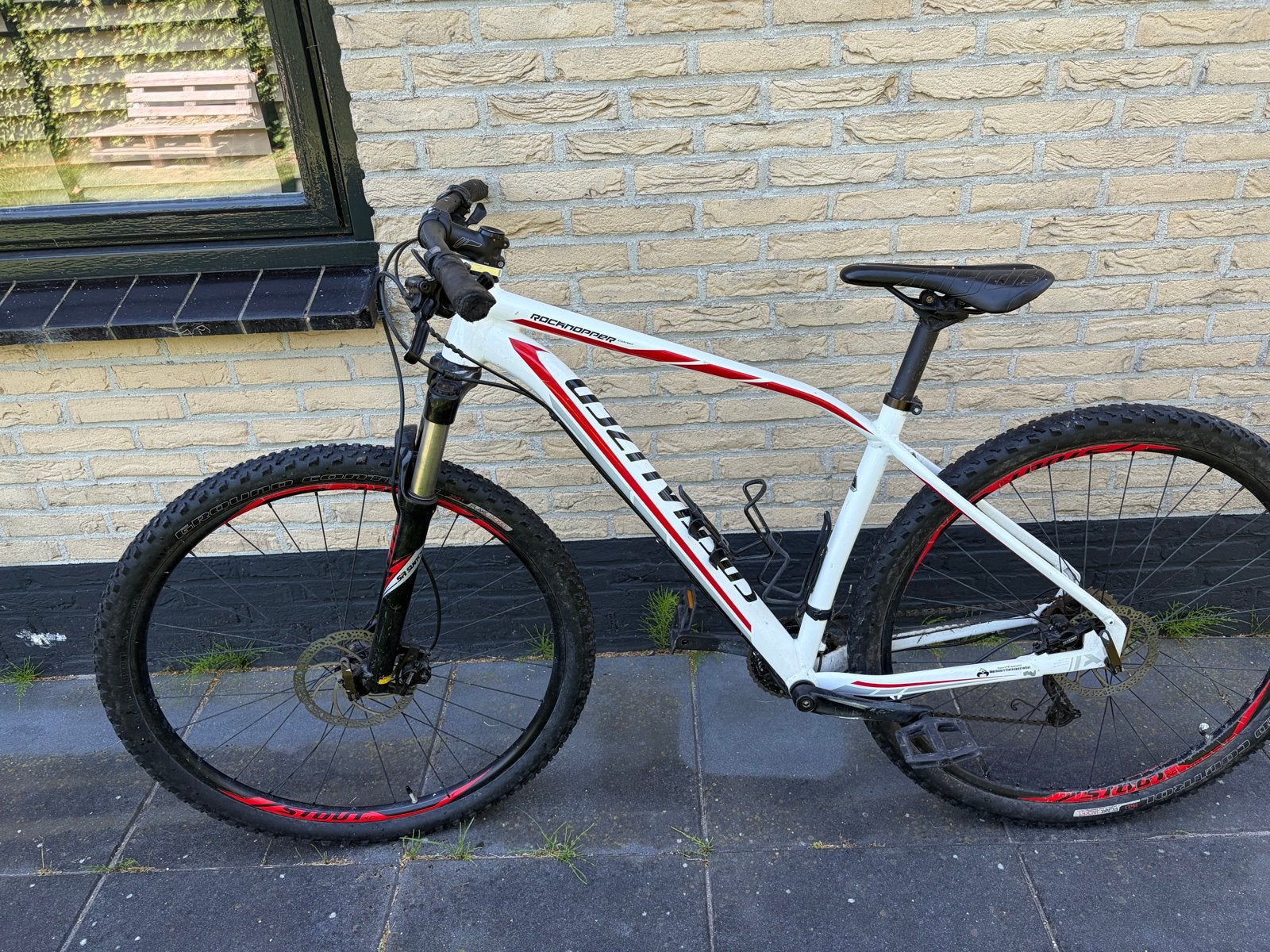 Specialized Rockhopper mountainbike, maat L/19, Fietsen en Brommers, Gebruikt, Hardtail, Heren, 49 tot 53 cm