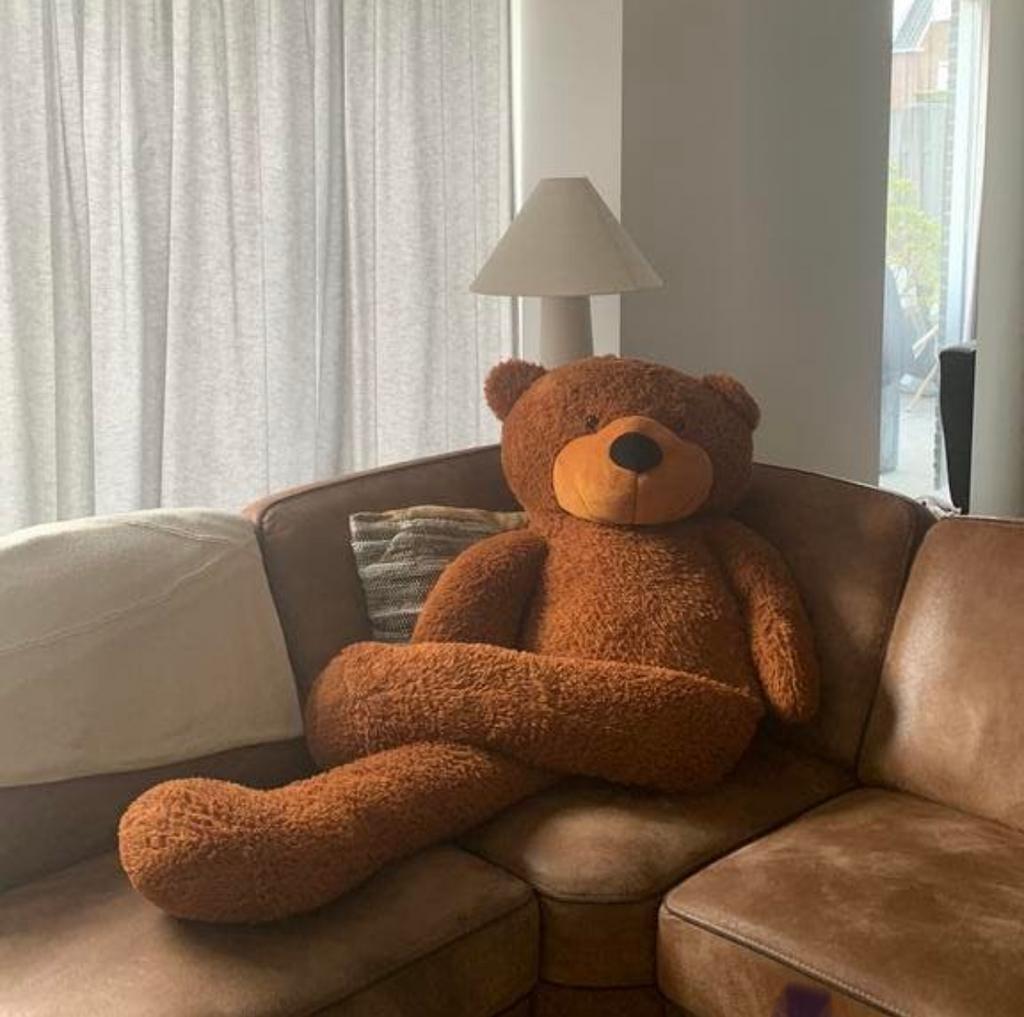 XXL Teddybeer - Ongebruikt en Schoon, Beer, Ophalen of Verzenden, Zo goed als nieuw, Bruin