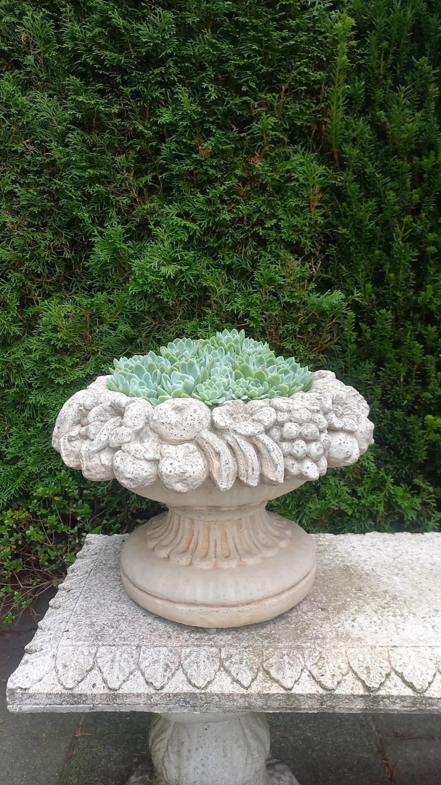 tuinpot 45 breed 35 hoog met planten, Ophalen
