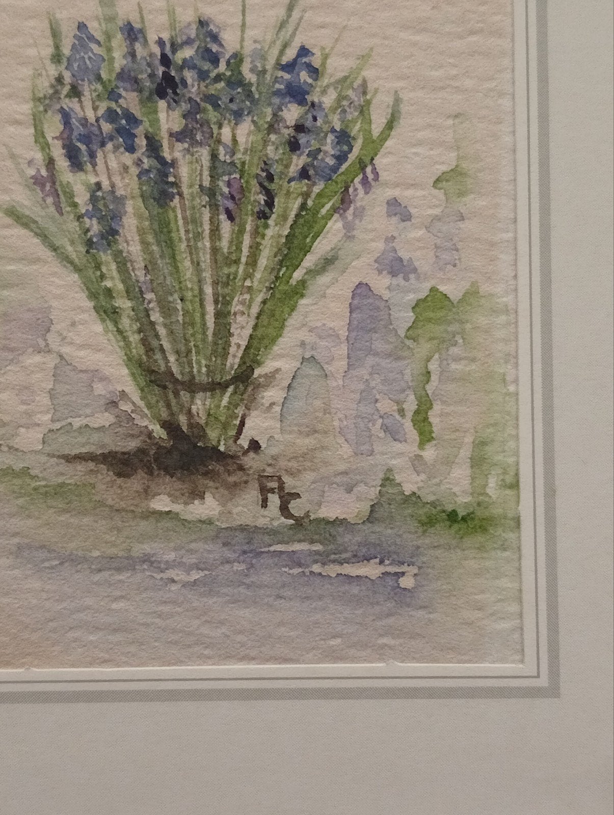 Handgeschilderde Aquarel: Blauwe Druifjes, Ophalen of Verzenden