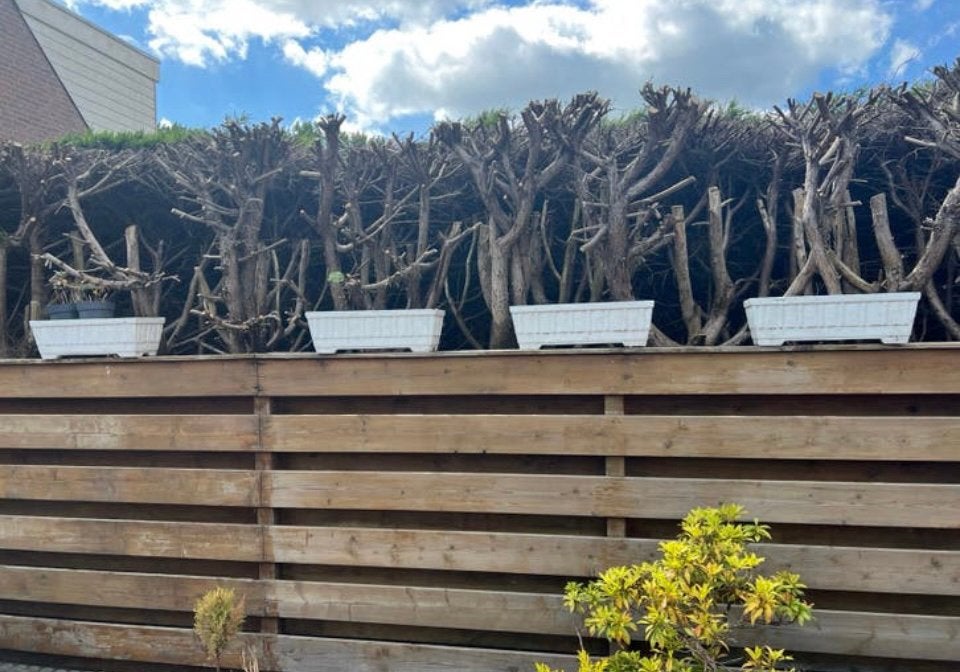4 witte betonnen bloembakken, Tuin en Terras, Palen, Balken en Planken, Ophalen, Zo goed als nieuw, Minder dan 180 cm, Palen