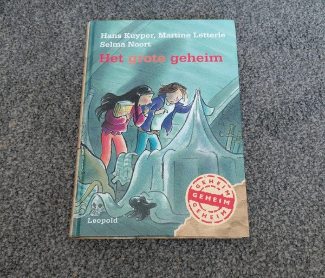 Leesboek het grote geheim, Ophalen of Verzenden, Zo goed als nieuw