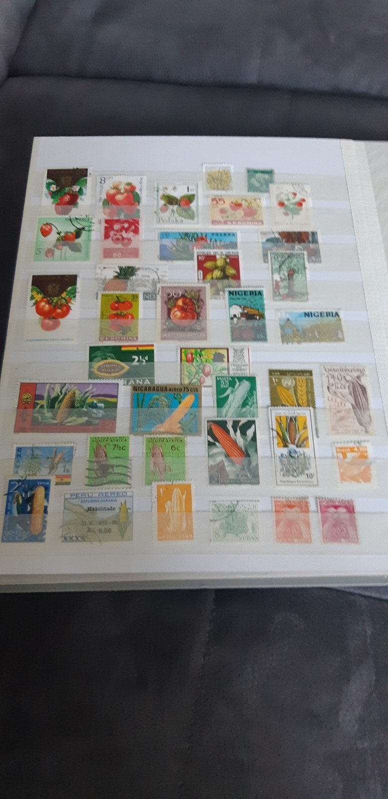 Postzegels vruchten kavel 8, Ophalen of Verzenden, Gestempeld, Dier of Natuur