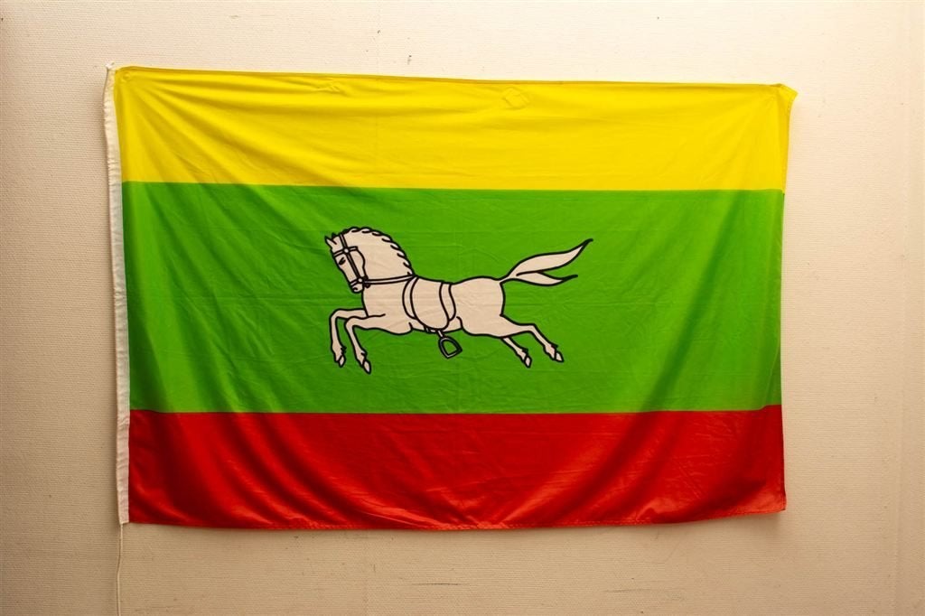 Vlag van Zuidlaren 39581, Ophalen of Verzenden, Gebruikt