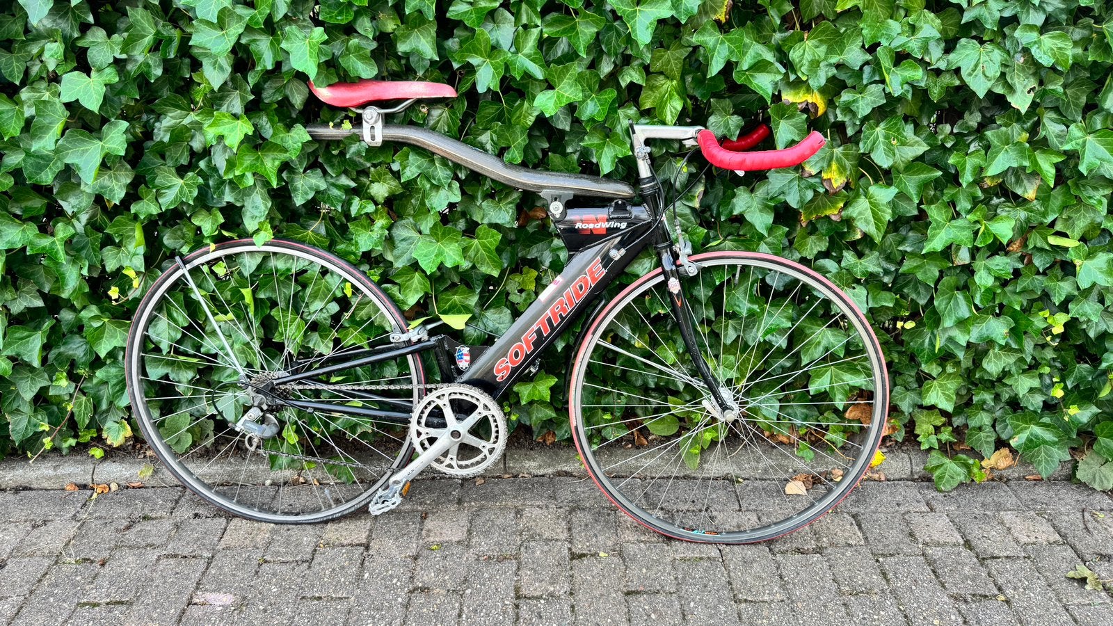 Unieke Softride Rocketwing baan/trackfiets, Minder dan 10 versnellingen, Gebruikt, Velgrem, 61 tot 65 cm