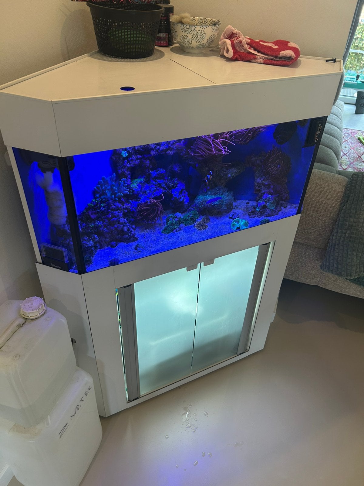 Compleet zeeaquarium, Dieren en Toebehoren, Ophalen, Leeg aquarium