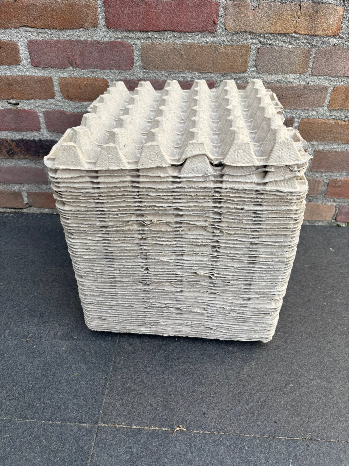 Eier tray 50 stuks, Dieren en Toebehoren, Ophalen of Verzenden, Zo goed als nieuw, Overige typen