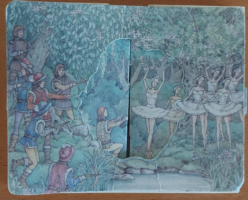 popup boekje BALLET=zwanenmeer, Boeken, Ophalen of Verzenden, Gelezen