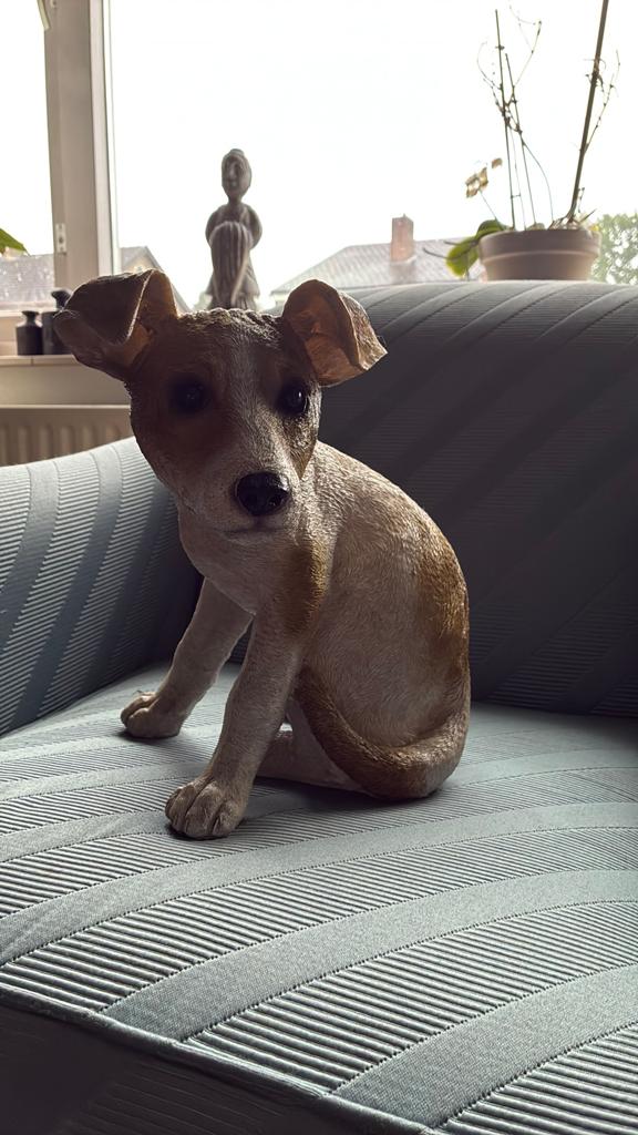Decoratief beeldje Jack Russell hond, Huis en Inrichting, Ophalen of Verzenden, Zo goed als nieuw, Meerkleurig, Kunststof