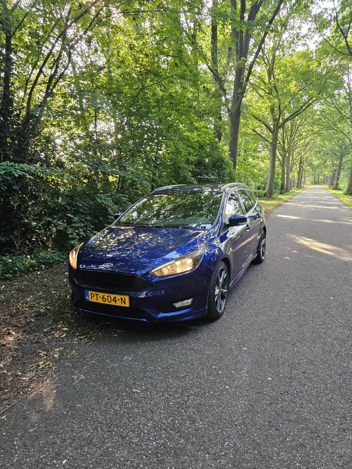 Ford Focus 1.0 Ecoboost 125pk 2017 Blauw 2de eigenaar, Auto's, Blauw, Origineel Nederlands, Handgeschakeld, 1216 kg