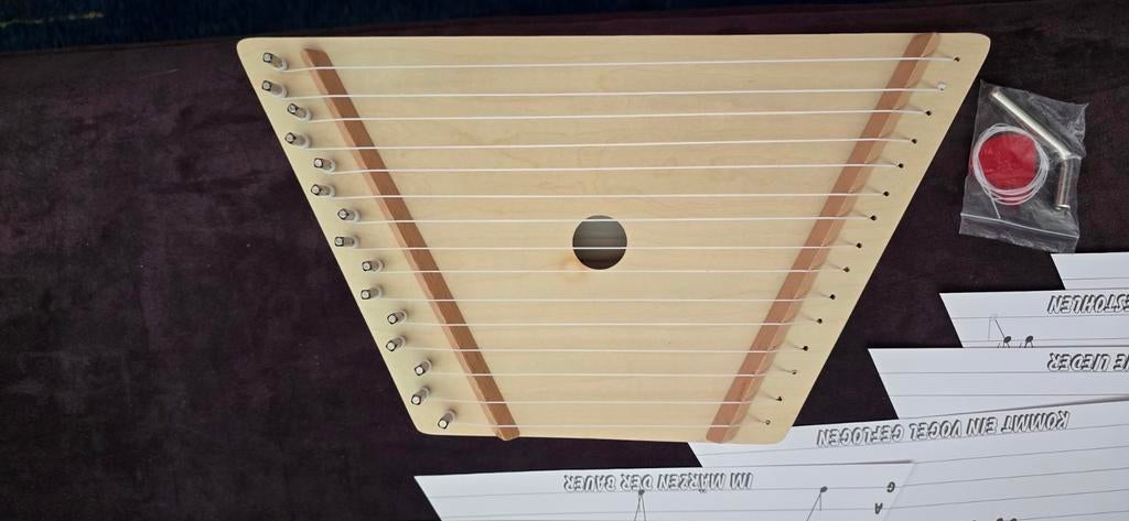 Nieuwe Citer / Harp met bladmuziek en stemgereedschap, Muziek en Instrumenten, Ophalen of Verzenden