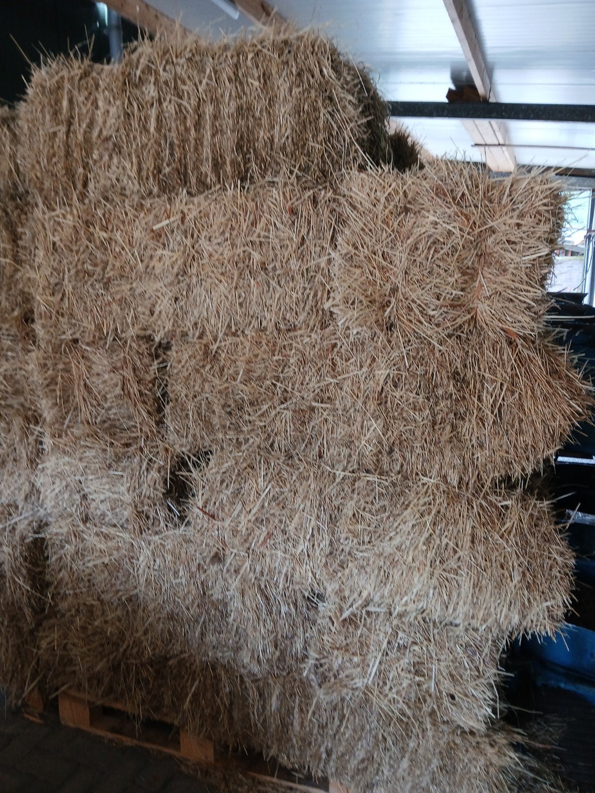Hooi eerste snee, Ophalen of Verzenden, Vee