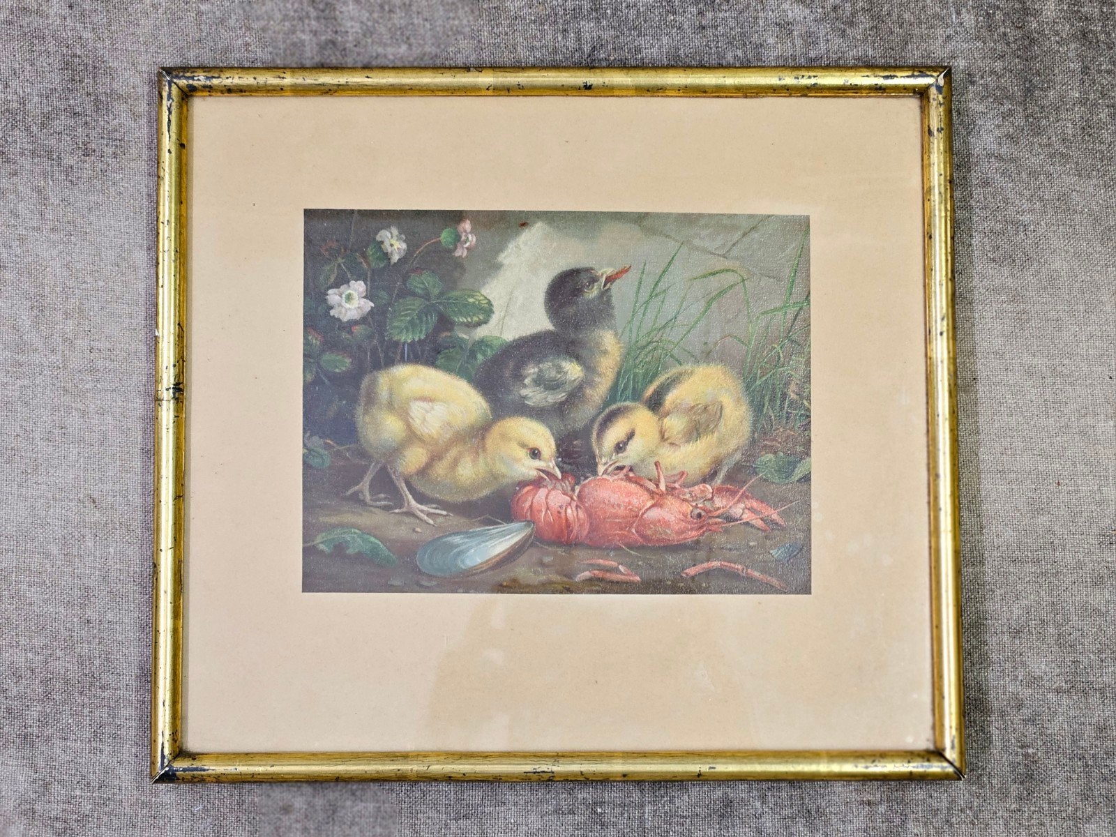 Prentje kreeftetende kuikens, Antiek en Kunst, Ophalen of Verzenden